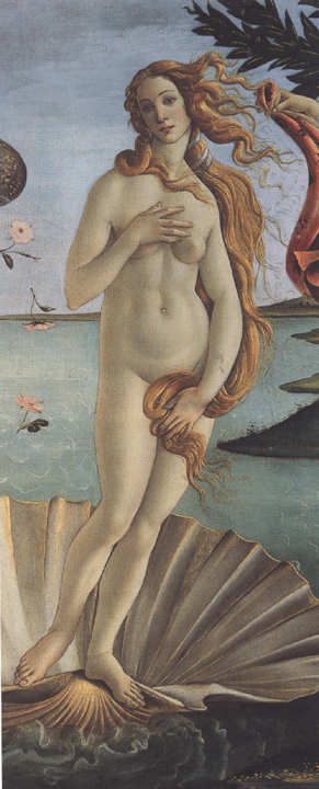 The Birth of Venus (mk36)